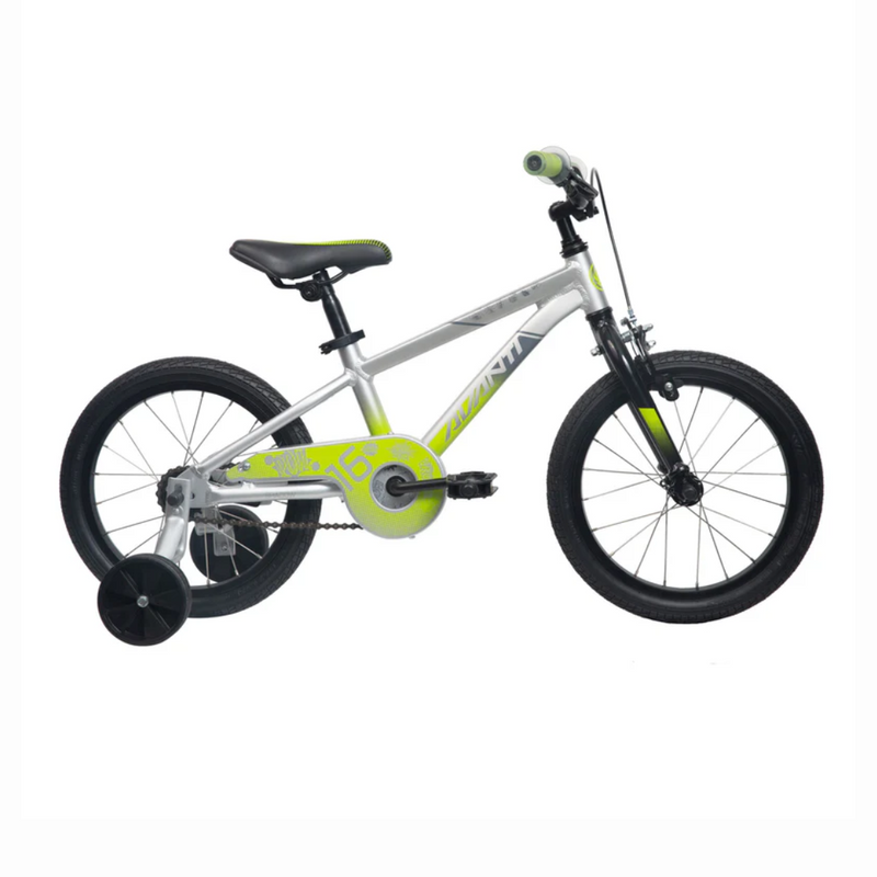 Avanti Shadow 16"