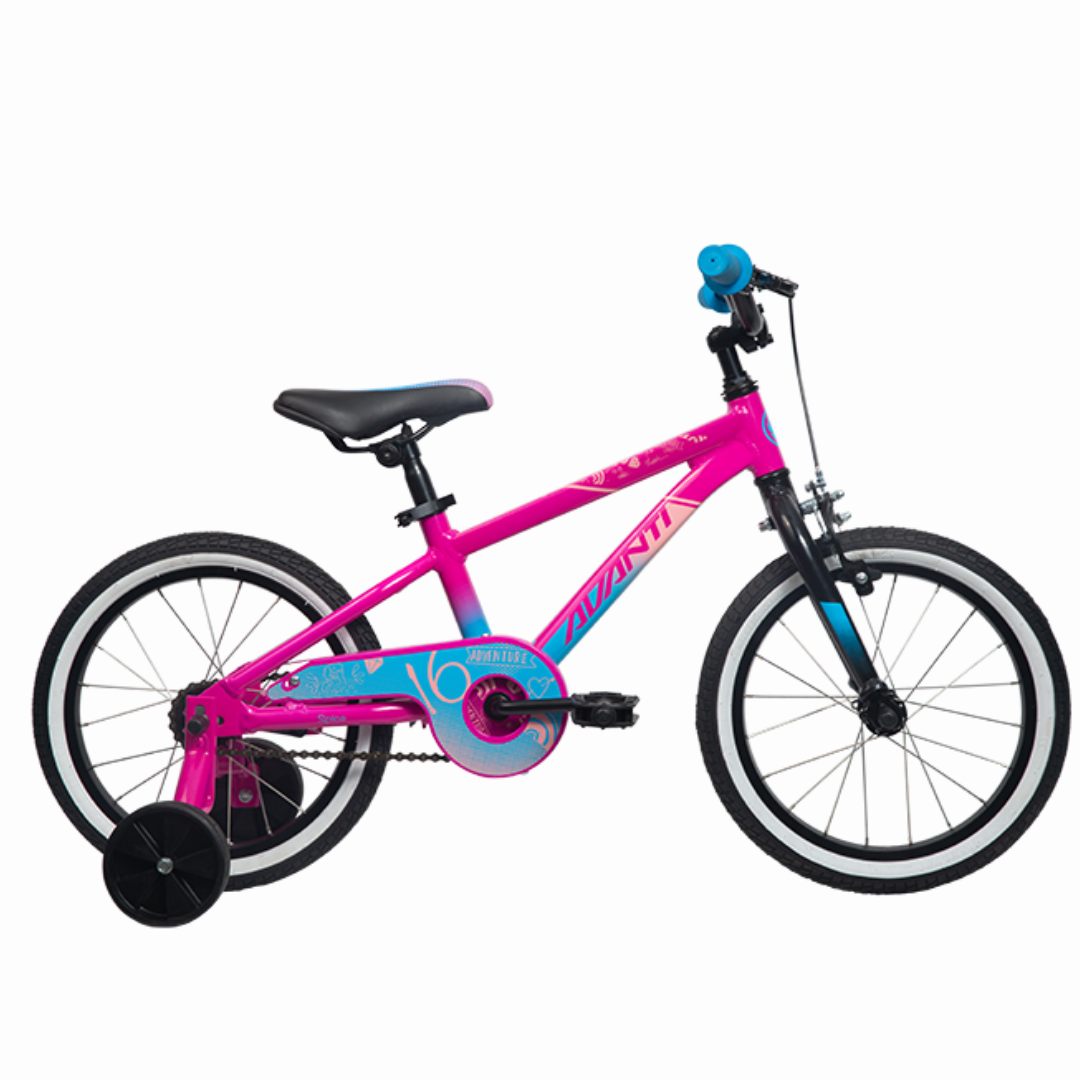 Avanti Spice 16"