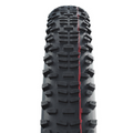Schwalbe Racing Ralph 29x2.35 Transparent Skin
