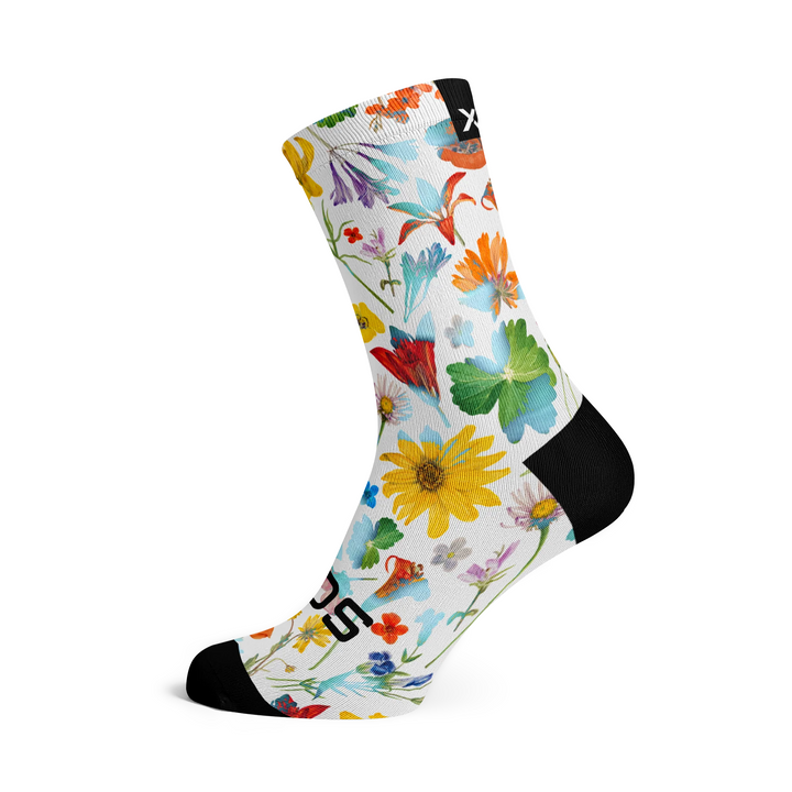 Sox- Meadow