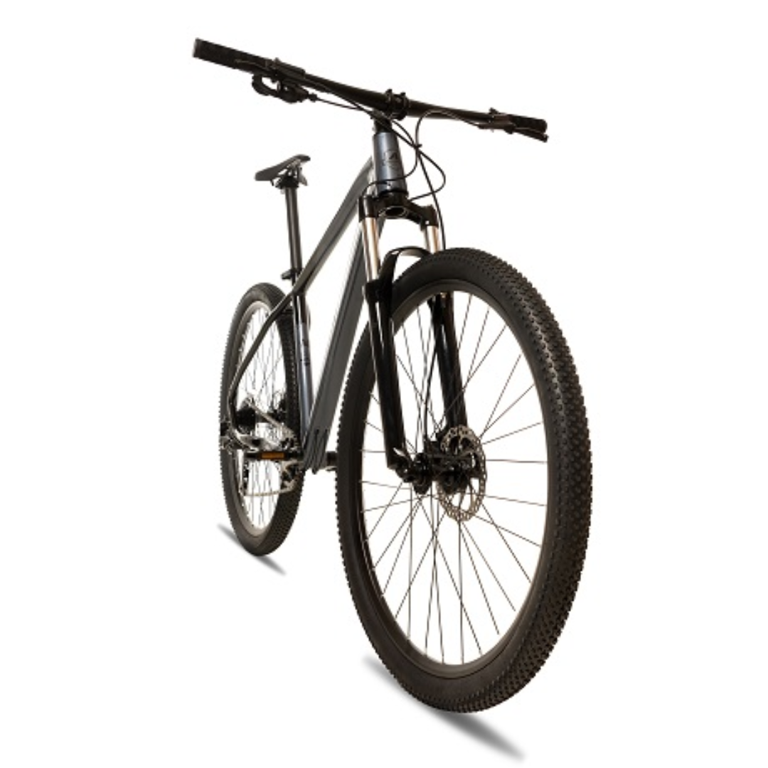 Avalanche Reflex Sport 29"