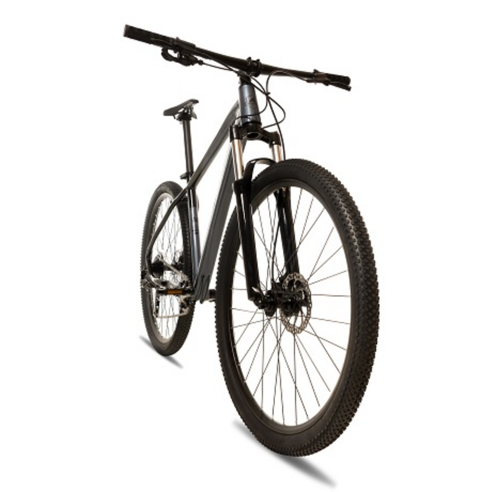 Aldi premium broth 29er mountain bike