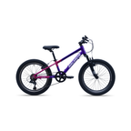 Avalanche Buzz 20 Inch Purple/Pink