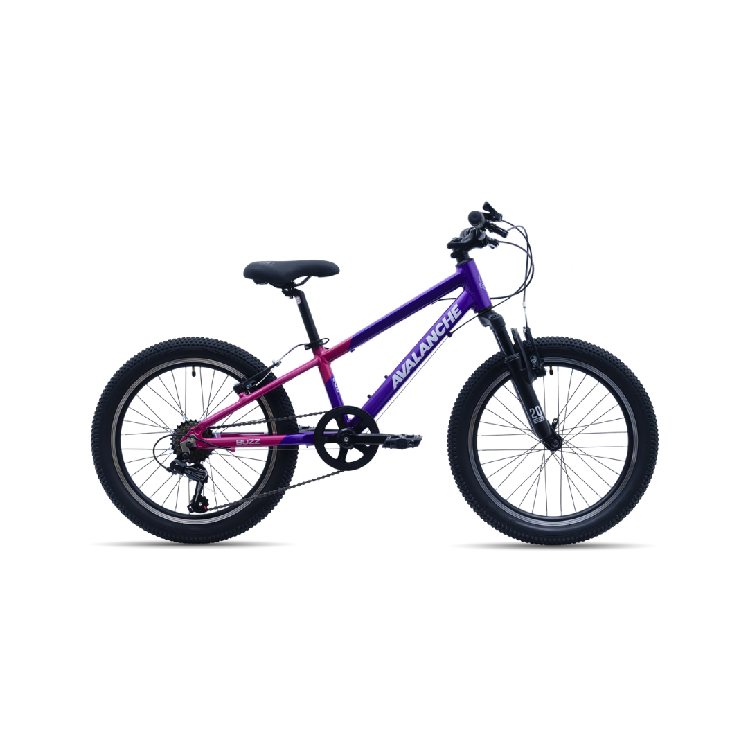 Avalanche Buzz 20 Inch Purple/Pink