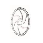 Veyga 6 Bolt Disc Brake Rotor